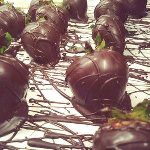 Meet your Posher, Phyllis